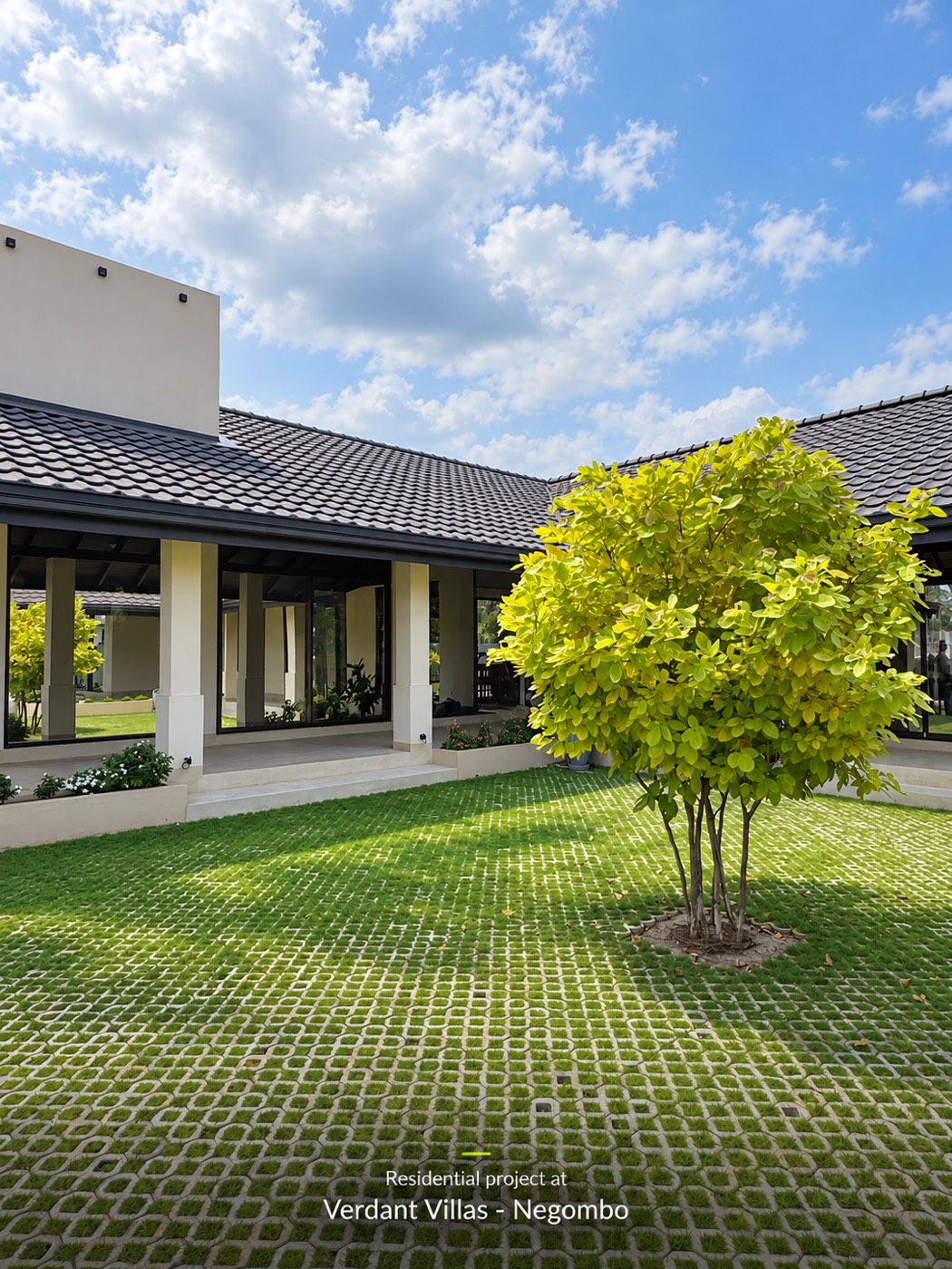 The courtyard tree in front of the glazed living spaces under the long tiled roof